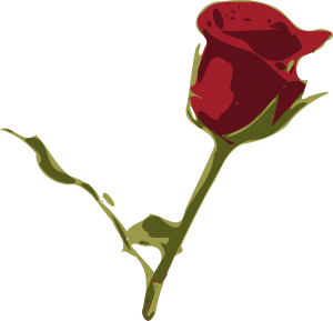 red-rose-162186_1280